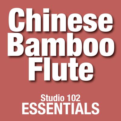 The Song of the Four Seasons By Chinese Bamboo Flute Orchestra's cover