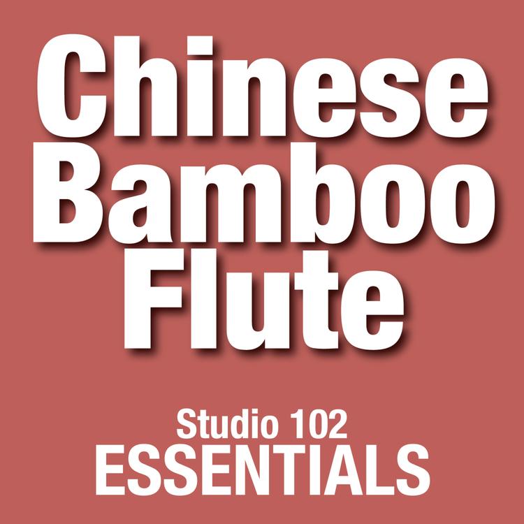 Chinese Bamboo Flute Orchestra's avatar image