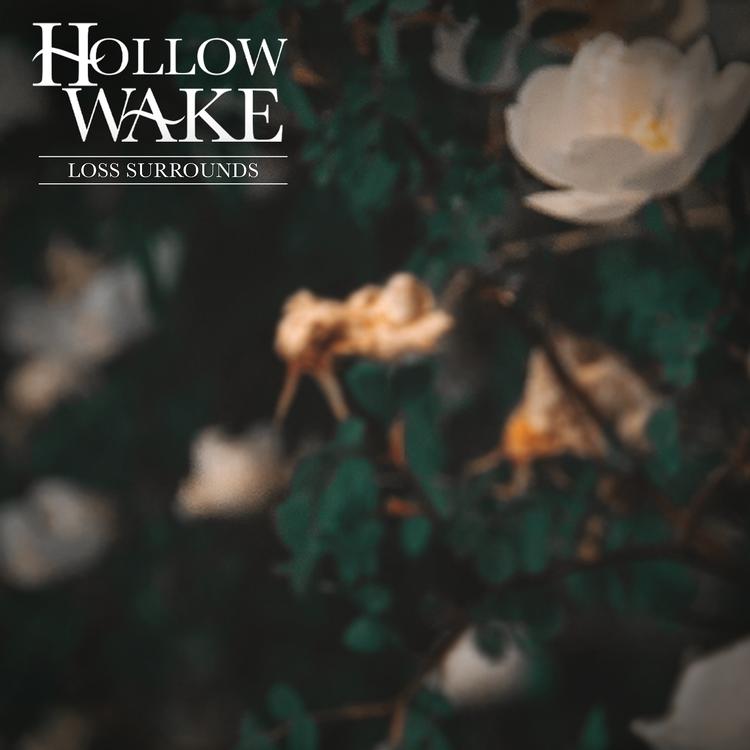 Hollow Wake's avatar image