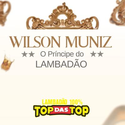 Faz Amor Comigo By Wilson Muniz, LAMBADÃO 100% TOP DAS TOP's cover