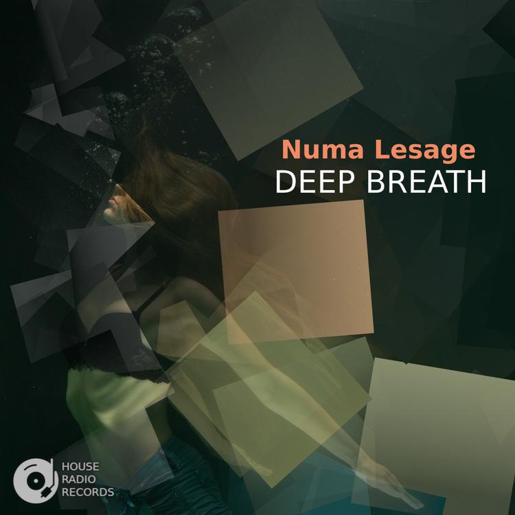 Numa lesage's avatar image