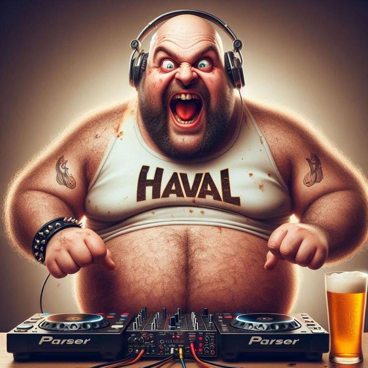 Dj Haval's avatar image