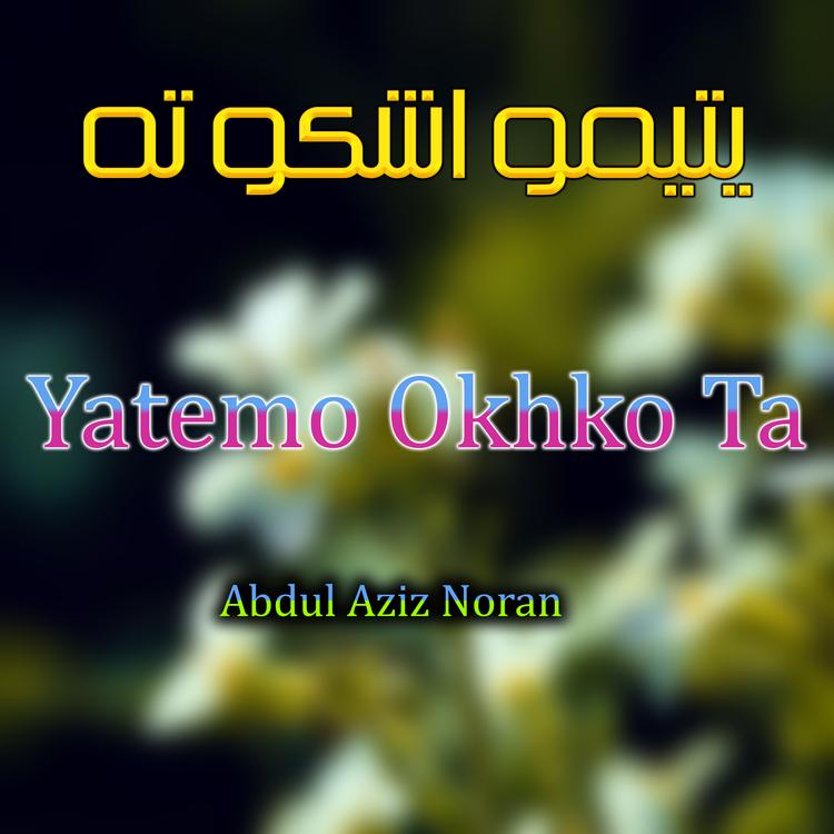 Abdul Aziz Norani's avatar image