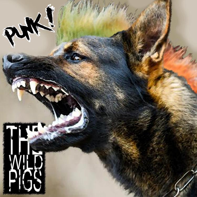 THE WILD PIGS's avatar image