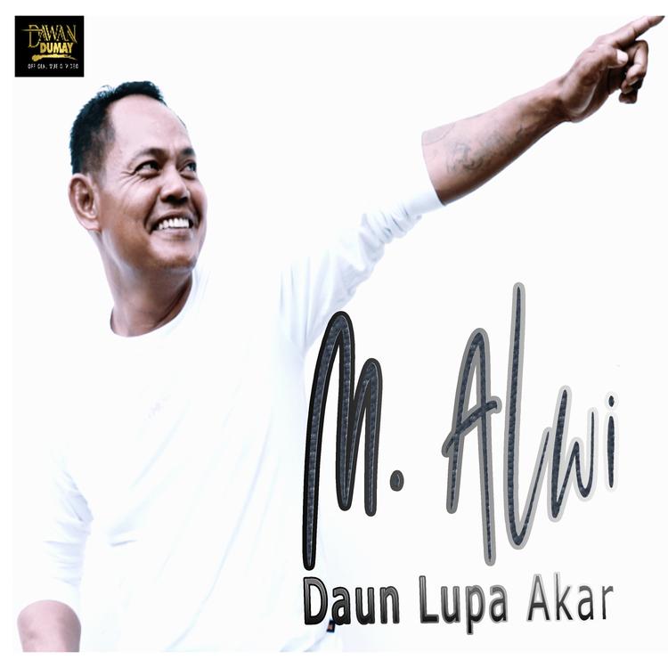 M. ALWI's avatar image