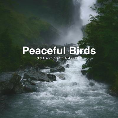 Birds by the River's cover