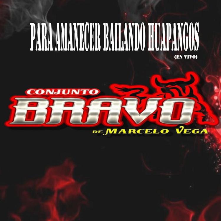 conjunto bravo de marcelo vega's avatar image