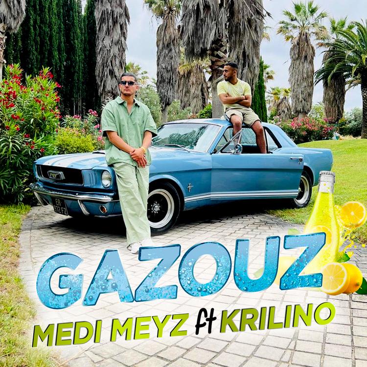 Medi Meyz's avatar image