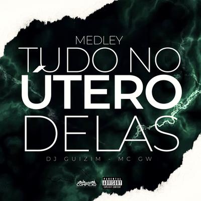 Medley Tudo no Utero Delas By Mc Gw, dj guizim's cover