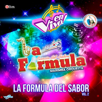 La Fórmula Marimba Orquesta's cover