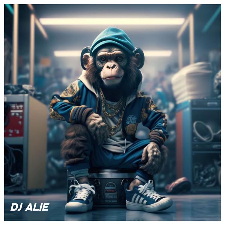 DJ ALIE RMX's avatar image