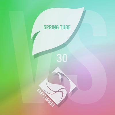 Spring Tube vs. Easy Summer, Vol. 30's cover