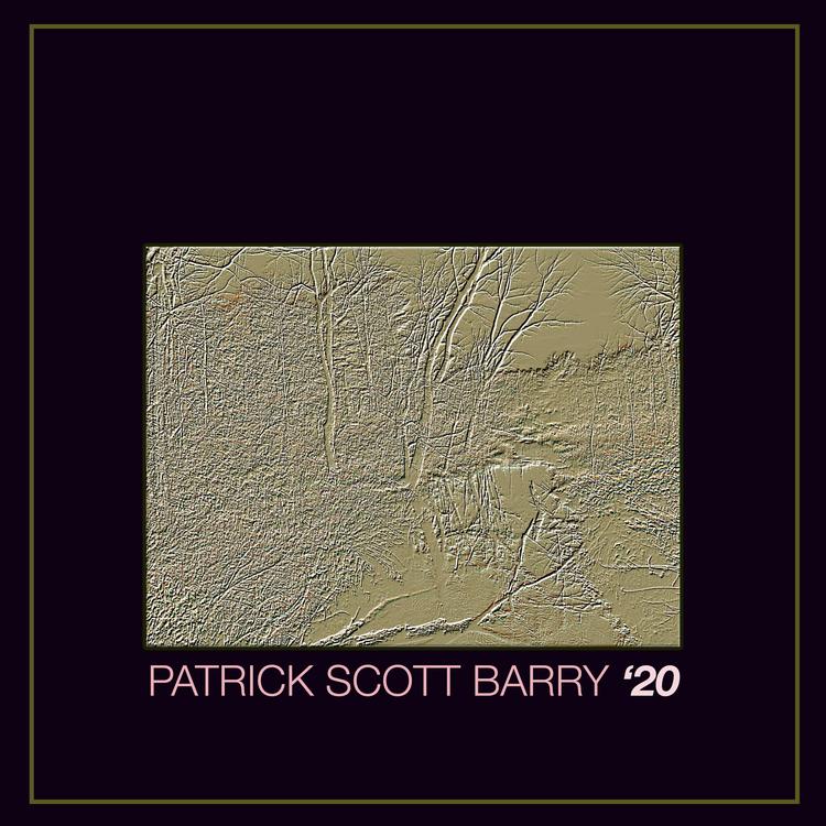 Patrick Scott Barry's avatar image