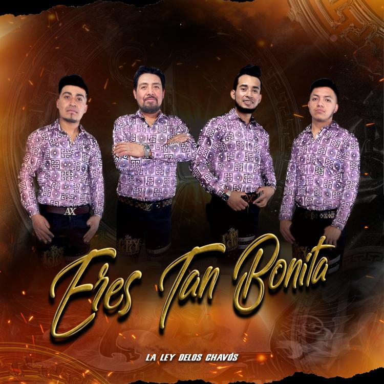 La Ley De Los Chavos's avatar image