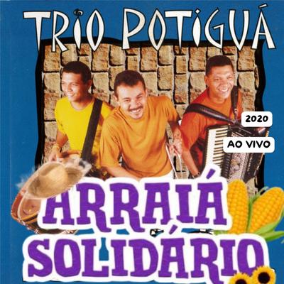 ARRAIÁ SOLIDÁRIO AO VIVO's cover