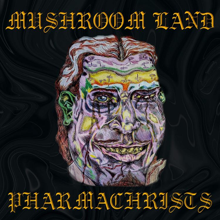 Mushroom Land's avatar image