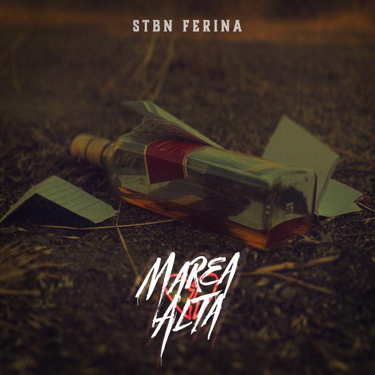 Stbn Ferina's avatar image