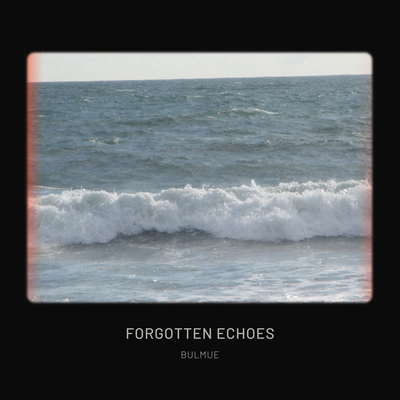 Forgotten Echoes's cover