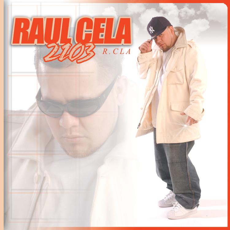 Raul Cela's avatar image