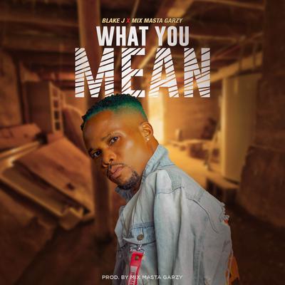 What You Mean By Blake J, Mix Master Garzy's cover