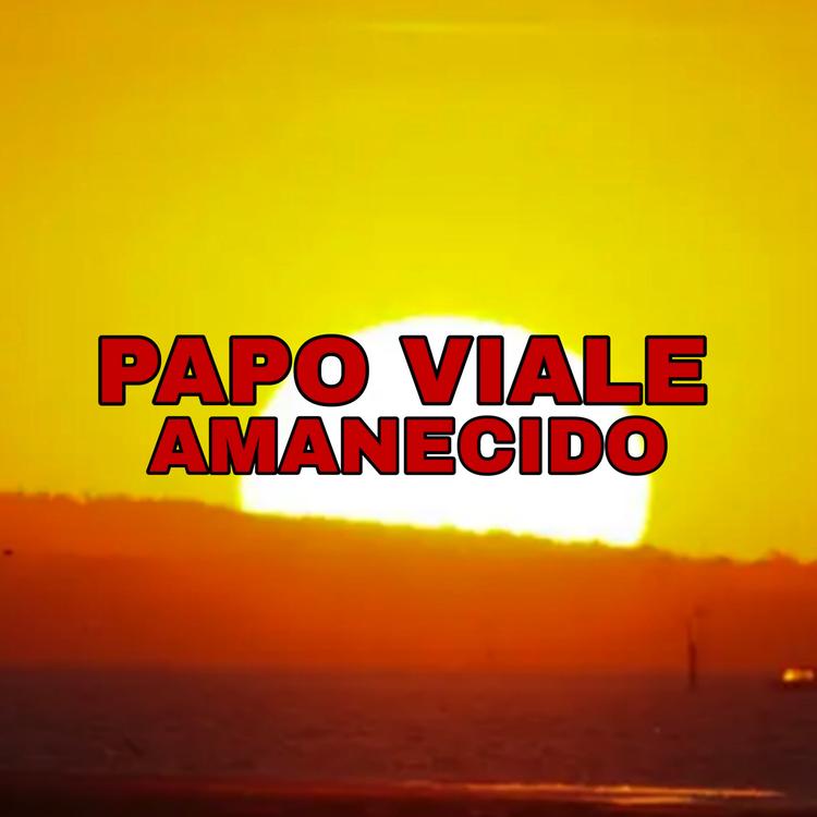 Papo Viale's avatar image