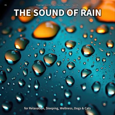Under the Sky By Regengeräusche, Rain Sounds, Nature Sounds's cover