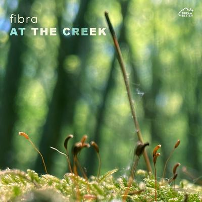 at the creek By Fibra's cover