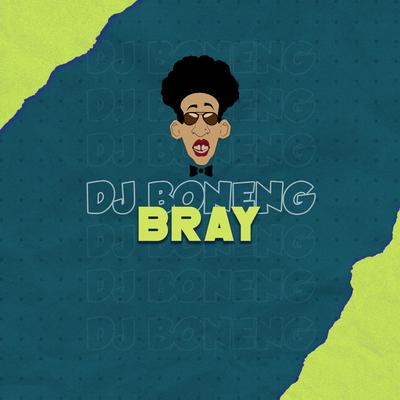 Bray's cover