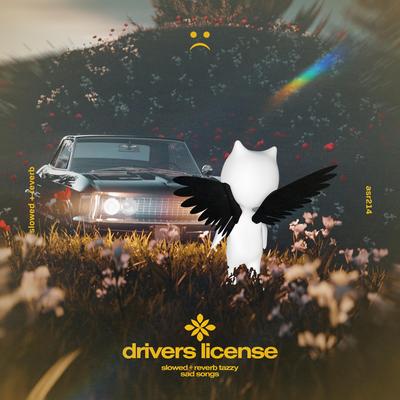 drivers license - slowed + reverb's cover