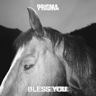 Kingdom (Bless You Remix) By PRISMA, Bless You's cover