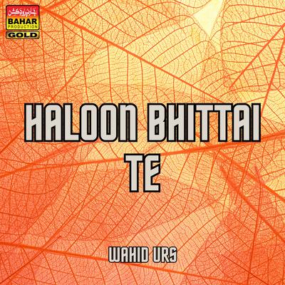 Haloon Bhittai Te's cover