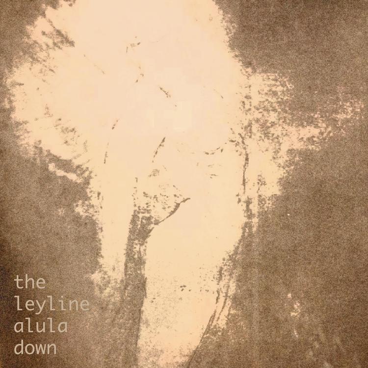 Alula Down's avatar image