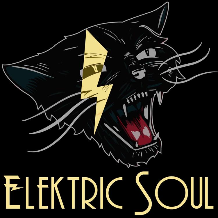 Elektric Soul's avatar image