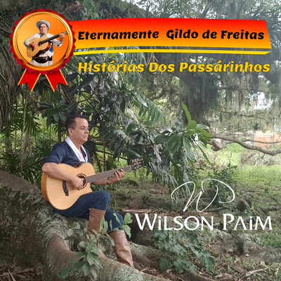 Histórias dos Passarinhos By Wilson Paim, Gildo de Freitas's cover