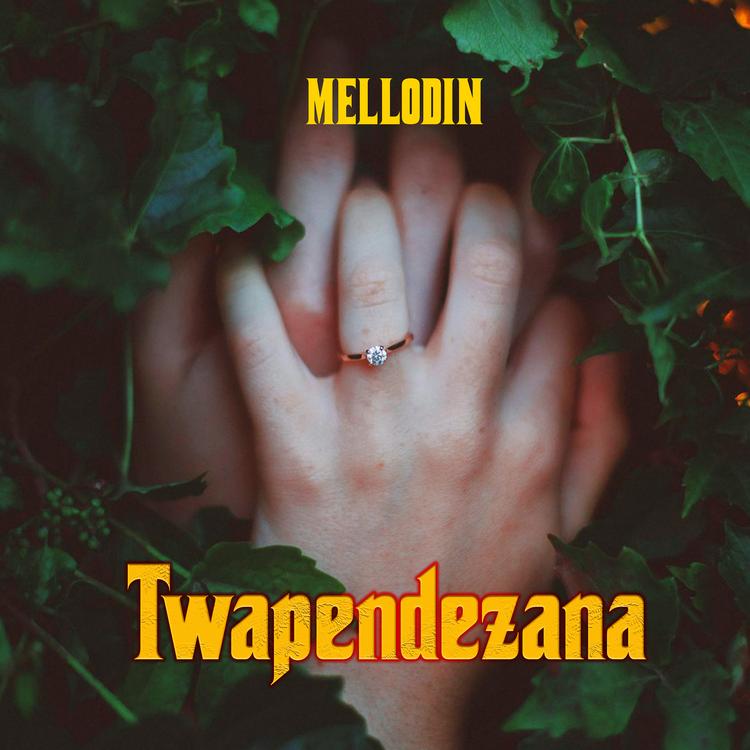 Mellodin's avatar image