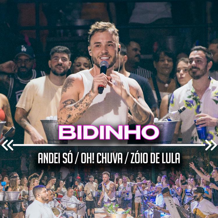 Bidinho's avatar image