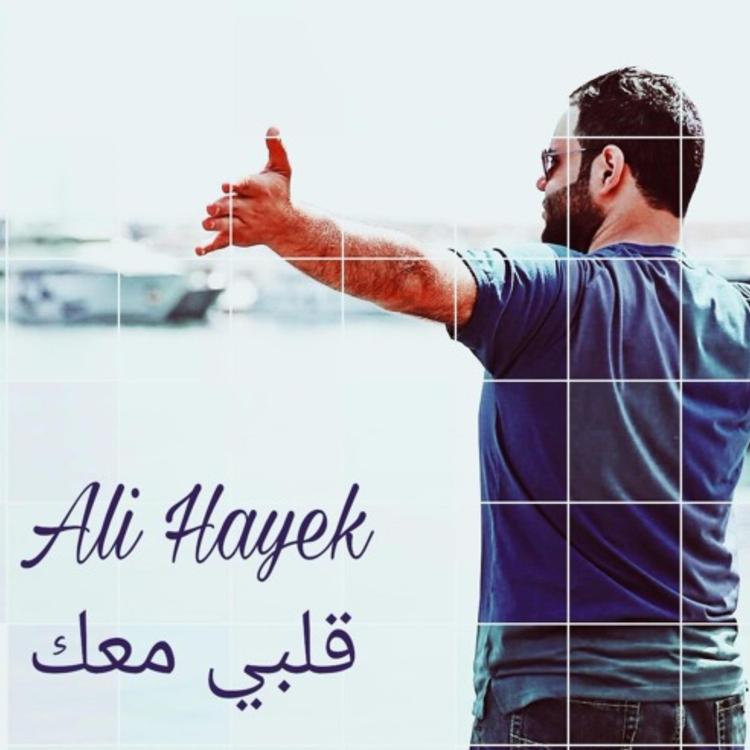 Ali Hayek's avatar image