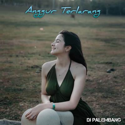 DJ Anggur Terlarang's cover