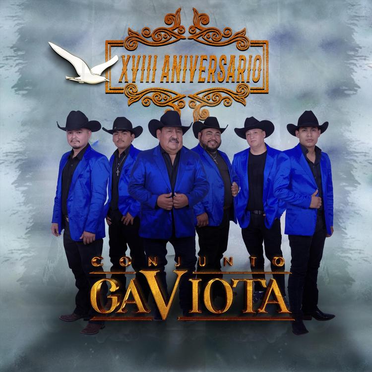 Conjunto Gaviota's avatar image