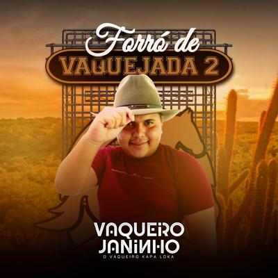 Meu Cavalo Deu um Show By Vaqueiro Janinho's cover