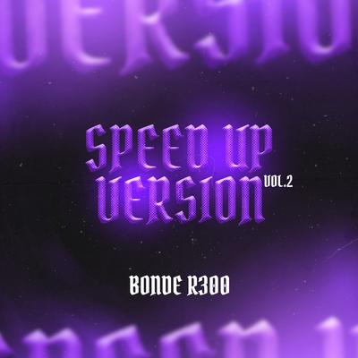 Bonde R300, Vol. 2's cover