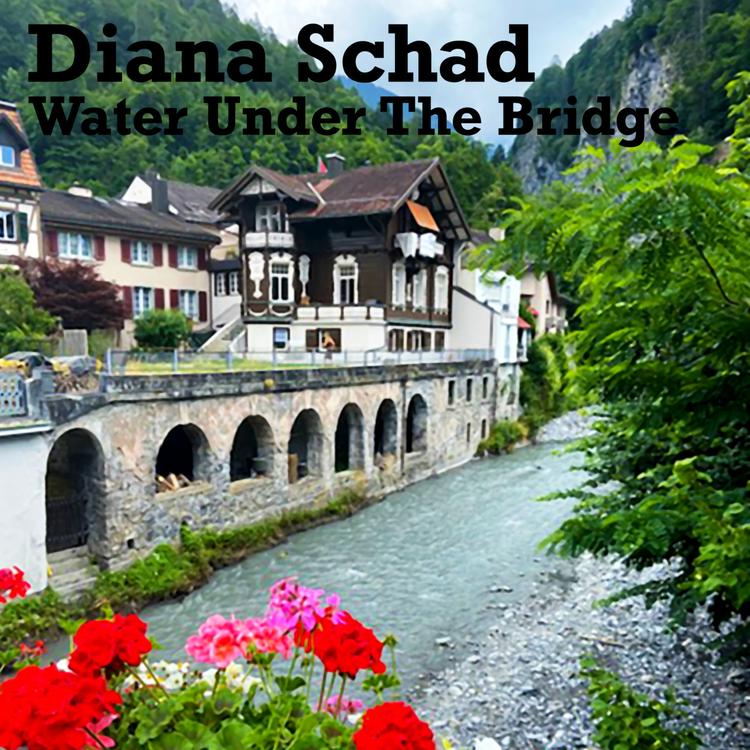 Diana Schad's avatar image