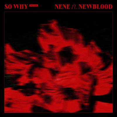 So Why (Eng Ver.) (feat. NewBlood)'s cover