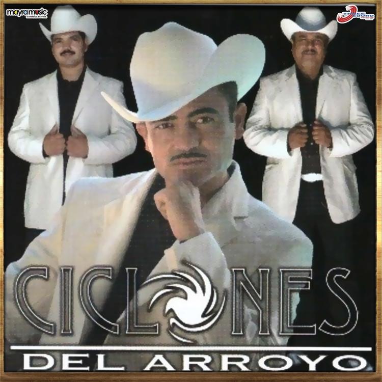 Ciclones del arroyo's avatar image