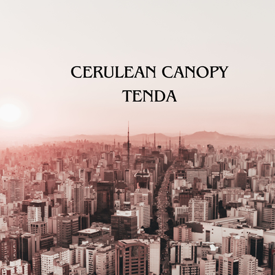 Tenda's cover