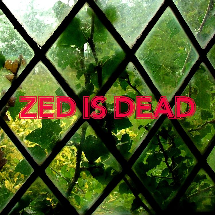 Zed Is Dead!'s avatar image