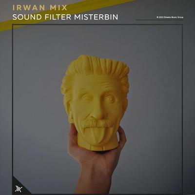 Sound Filter Misterbin's cover