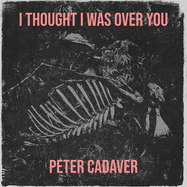 PETER CADAVER's avatar image