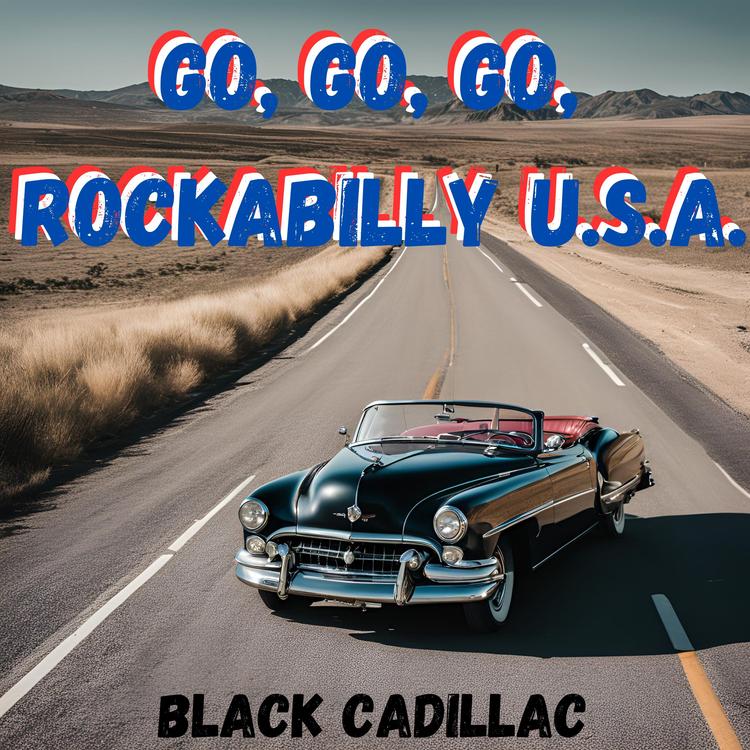 Go, Go, Go, Rockabilly U.S.A.'s avatar image