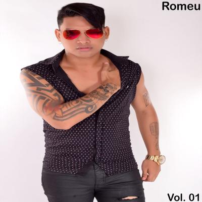 Liberdade Provisória By Romeu's cover